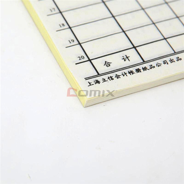 收入支出明细表模板_支付个人收入明细表(2)