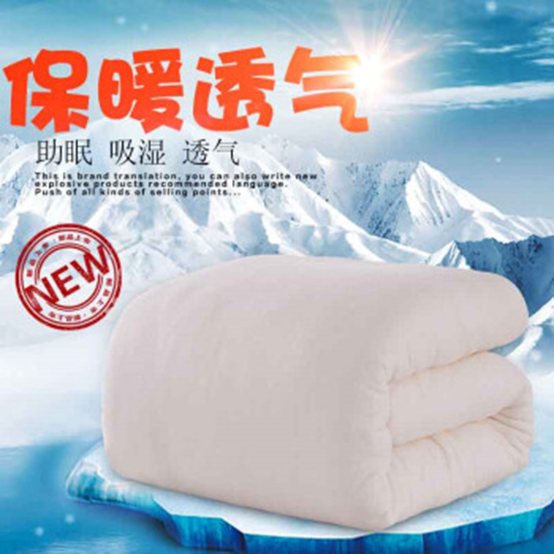 1/3                   国产 150*200 单人棉被(单位:个)