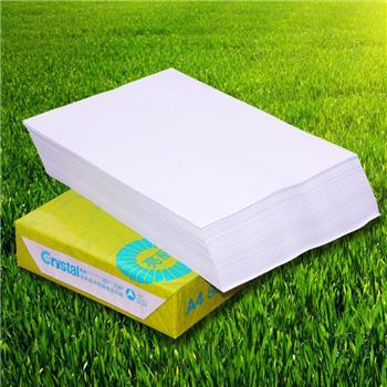 亮丽a4 80g 全木桨中性静电复印纸 500张/包 5包/箱(单位:包)